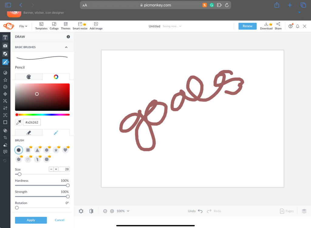 PicMonkey drawing capabilities