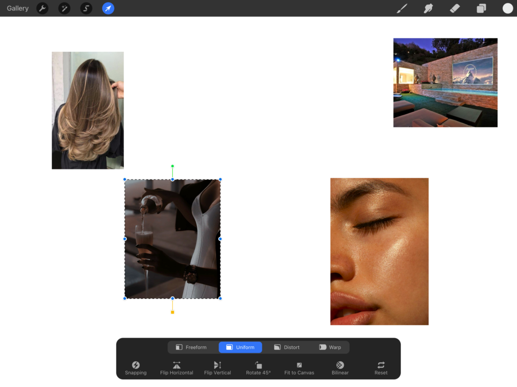 Procreate software